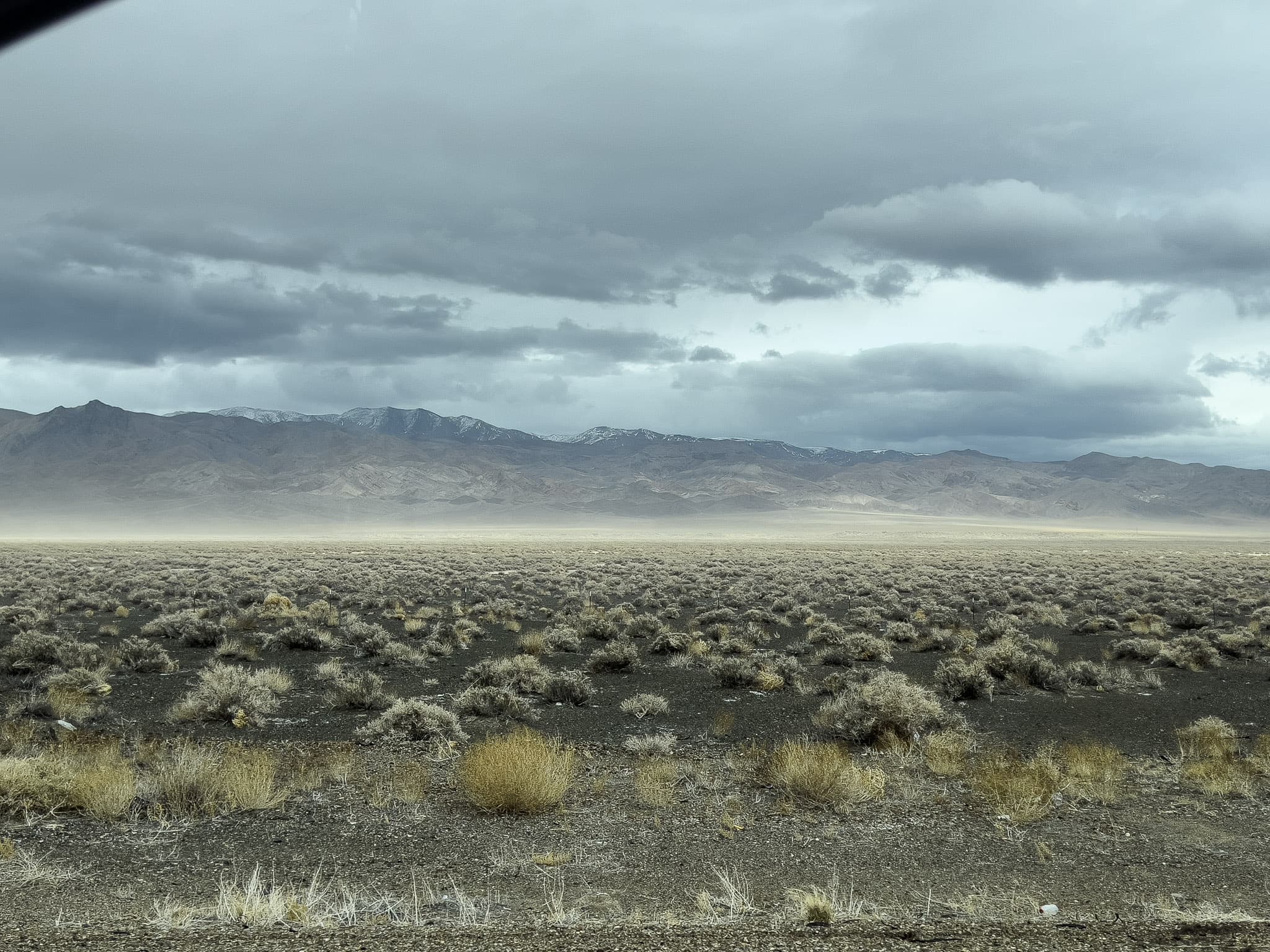 Misty morning light over a desert landscape