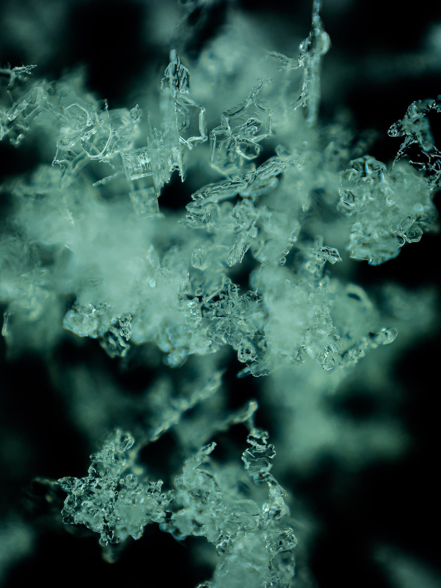 Extreme macro of individual snowflake crystals