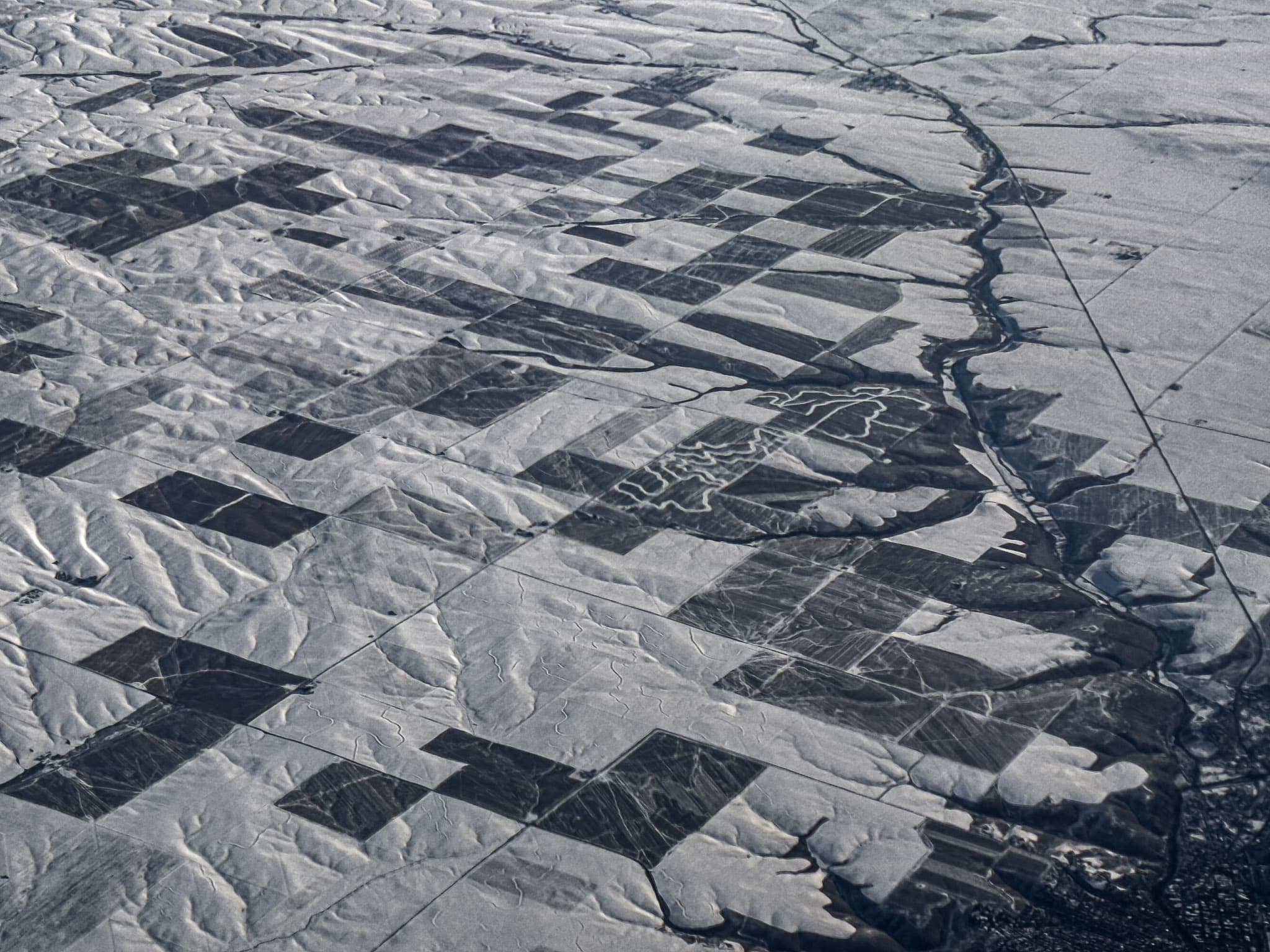 Snow-covered landscape in soft winter light
