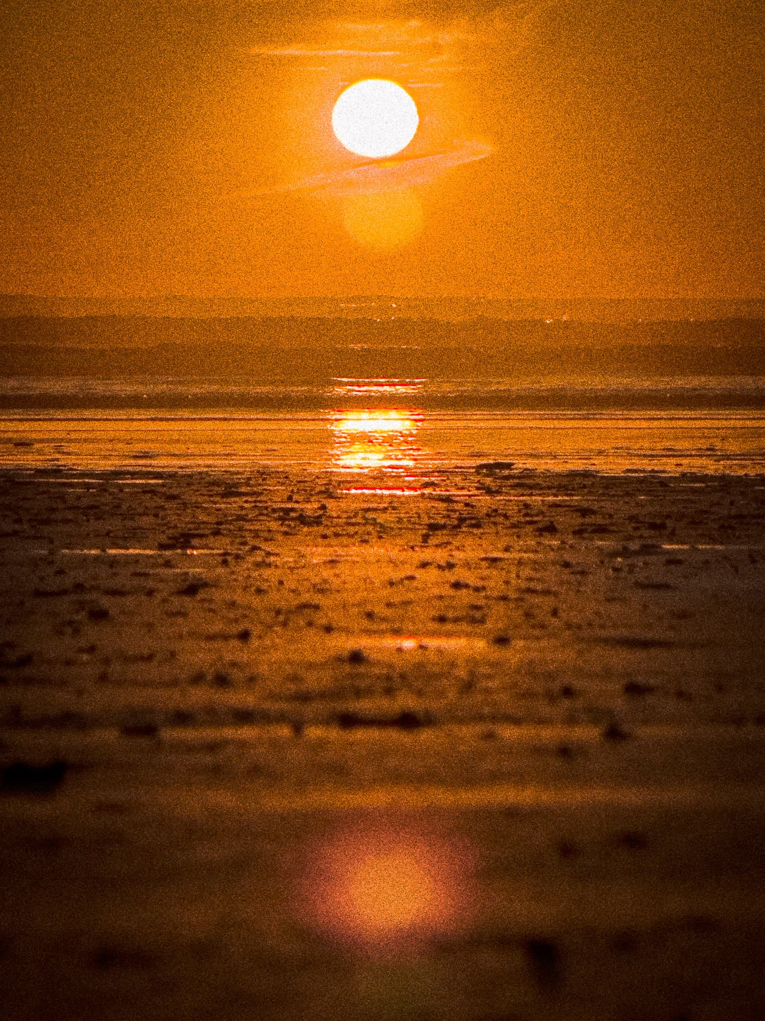 Sand dunes bathed in warm sunset light